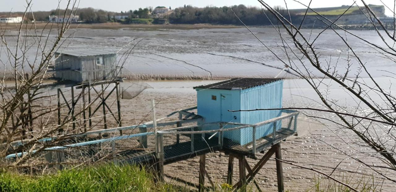 Grande Maison Charentaise Avec Vue Sur Le Chenal Superbes Couches De Soleil Sur L Estuaire De La Gironde! Mortagne-sur-Gironde Exterior foto